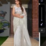 Zariwork Net Sarees