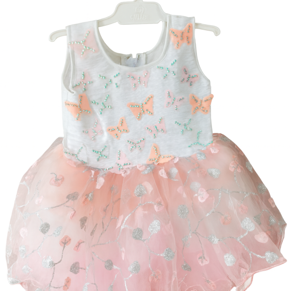 Butterfly Embroidered Party Frock