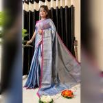 Tissue Linen Saree with Red Border